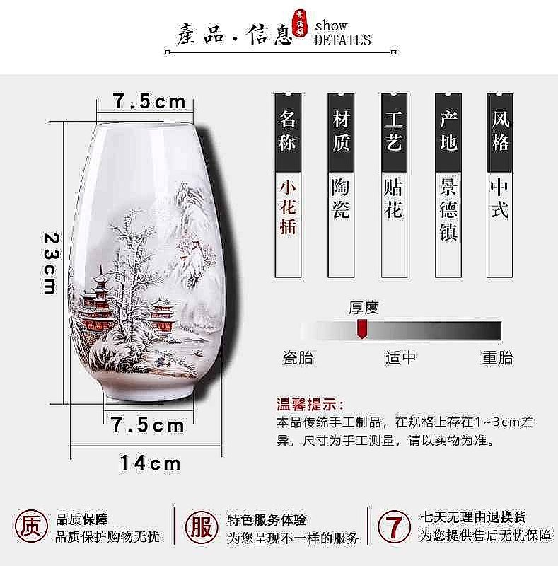 Traditional Chinese Porcelain Vase for Dry Flowers &