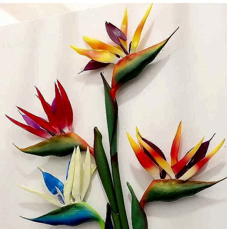 Bird of Paradise Artificial Potted Plant