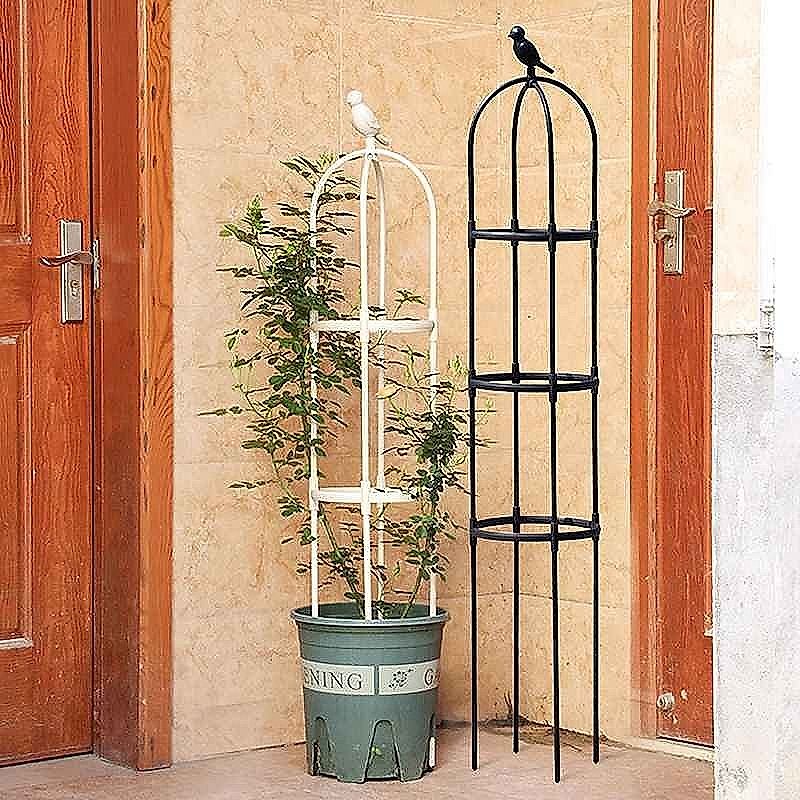 Climbing Plant Trellis & Support Frame Set
