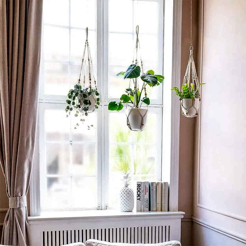 Macrame plant hanger with trailing plant in a bright boho living room