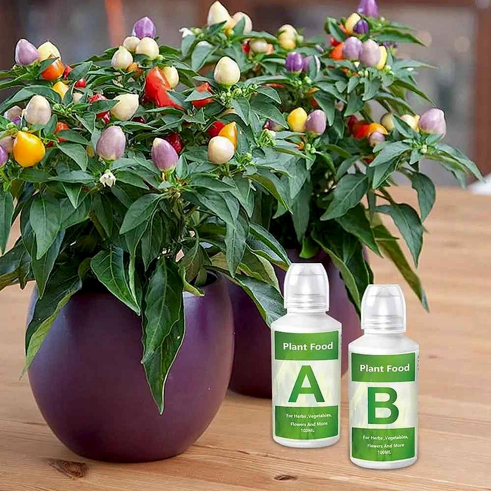 Thriving Plants, Not Struggling Ones — Hydroponic AB Nutrient Solution Set - View 3 of 12 | BigMoetsy