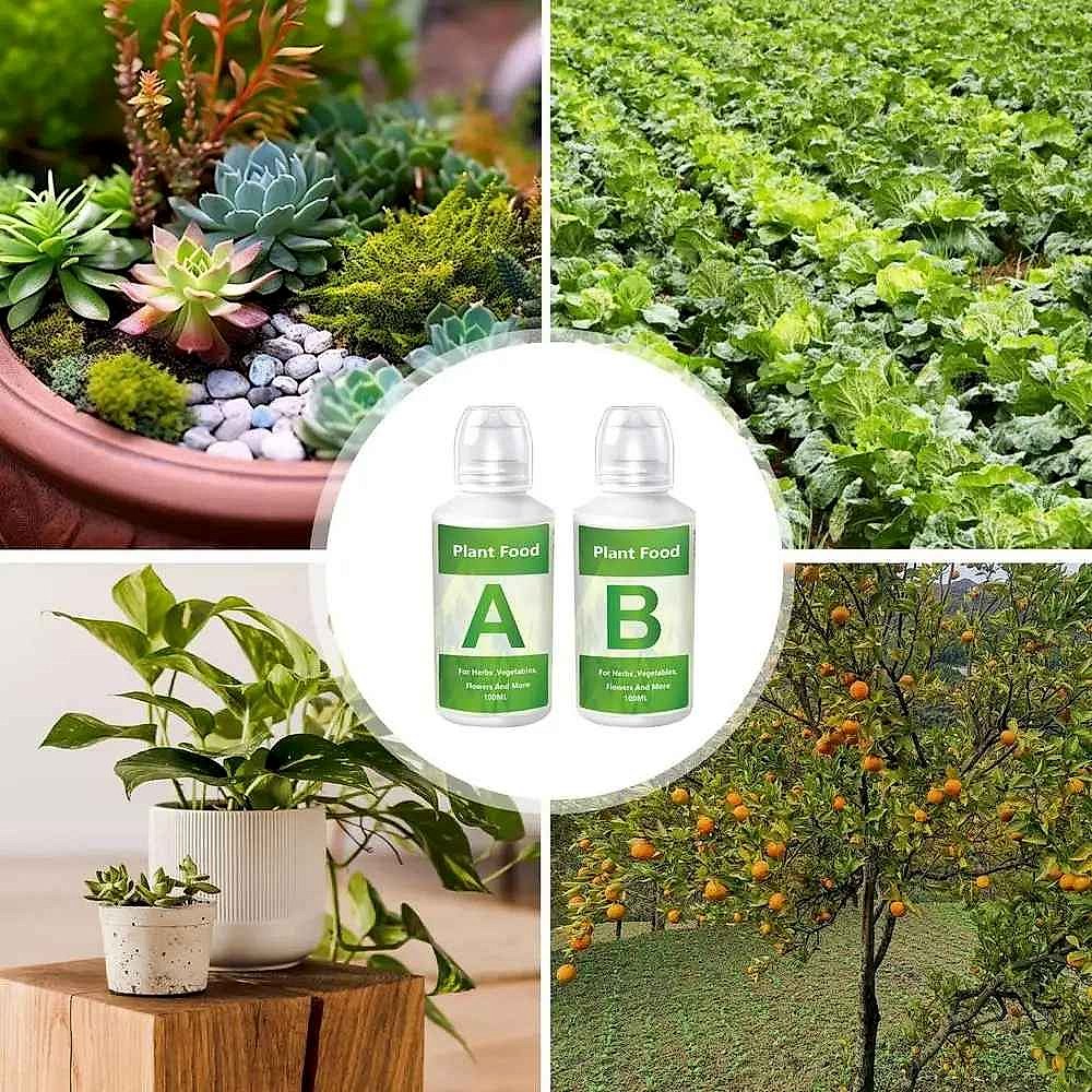 Thriving Plants, Not Struggling Ones — Hydroponic AB Nutrient Solution Set - View 7 of 12 | BigMoetsy