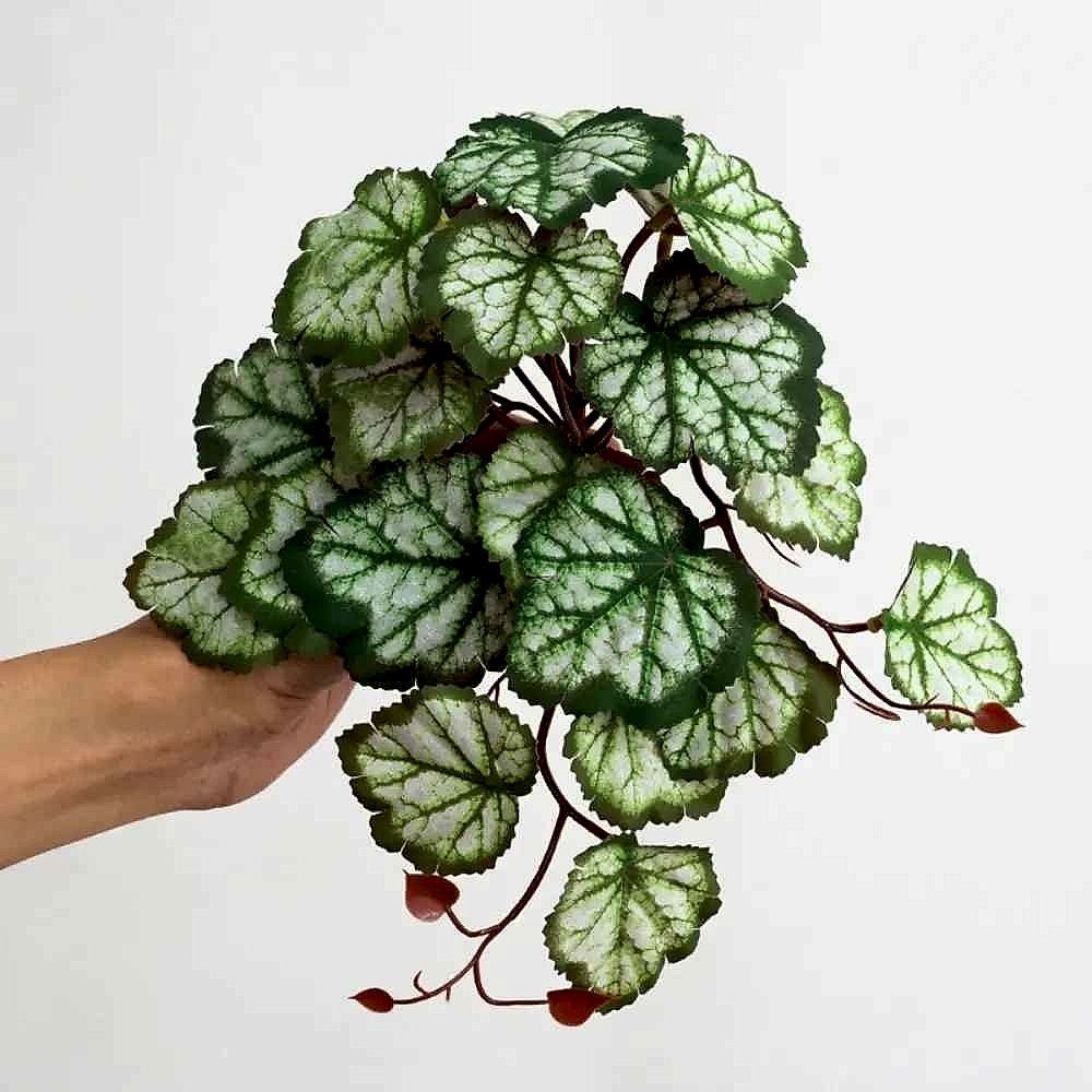 Handcrafted Bring Life to Any Corner Without the Upkeep — Lifelike Tropical Silk Turtle B... - View 10 of 11 | BigMoetsy