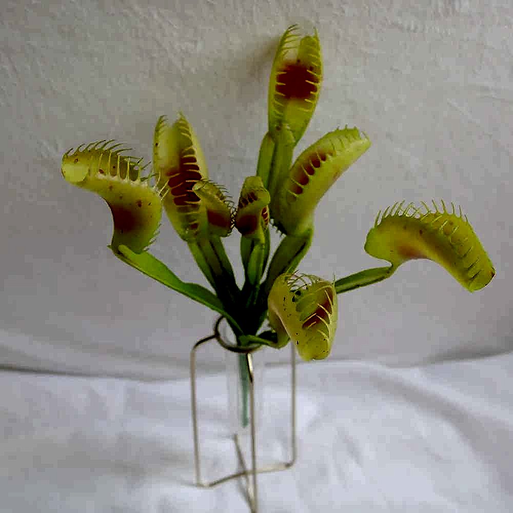 Handcrafted Bring the Weird and Wonderful Indoors Without the Upkeep — Lifelike Artificia... - View 3 of 9 | BigMoetsy