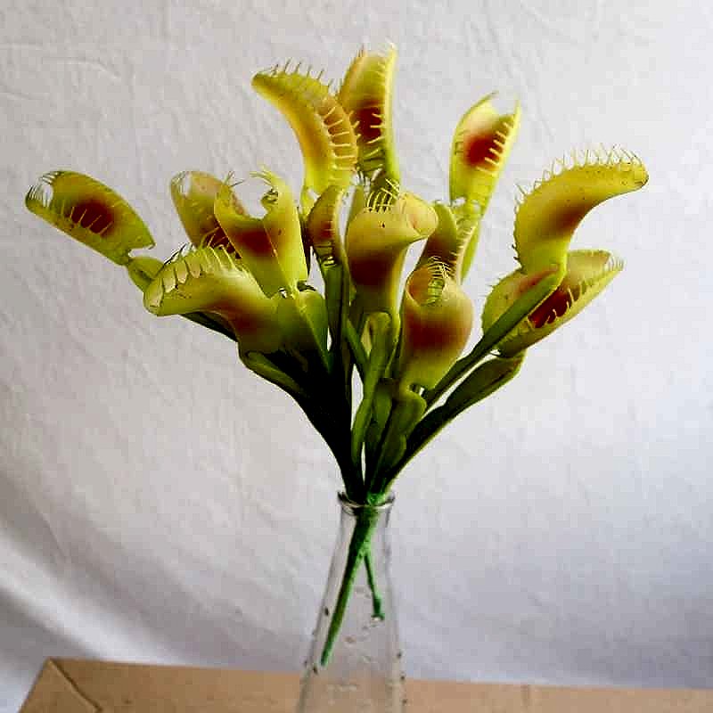 Handcrafted Bring the Weird and Wonderful Indoors Without the Upkeep — Lifelike Artificia... - View 4 of 9 | BigMoetsy