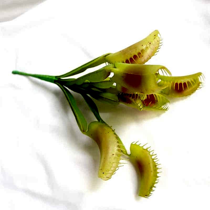 Handcrafted Bring the Weird and Wonderful Indoors Without the Upkeep — Lifelike Artificia... - View 5 of 9 | BigMoetsy