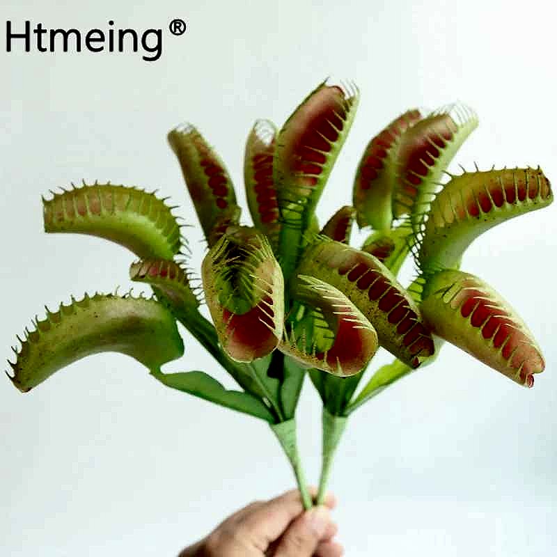 Handcrafted Bring the Weird and Wonderful Indoors Without the Upkeep — Lifelike Artificia... - View 9 of 9 | BigMoetsy