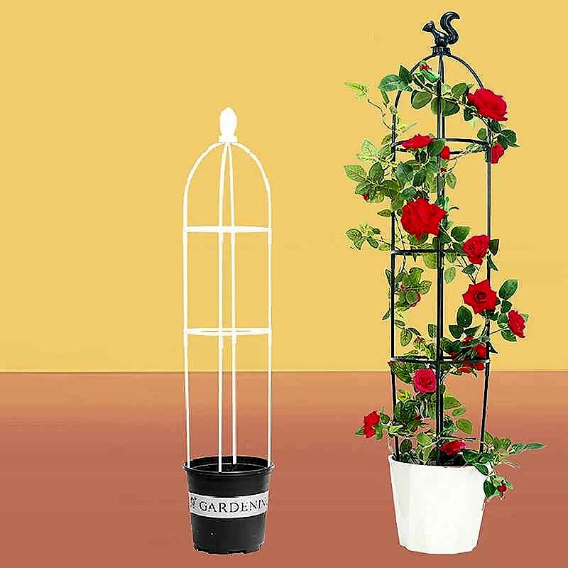 Handcrafted Tangled, Drooping Vines No More — Climbing Plant Trellis & Support Frame Set - View 5 of 10 | BigMoetsy