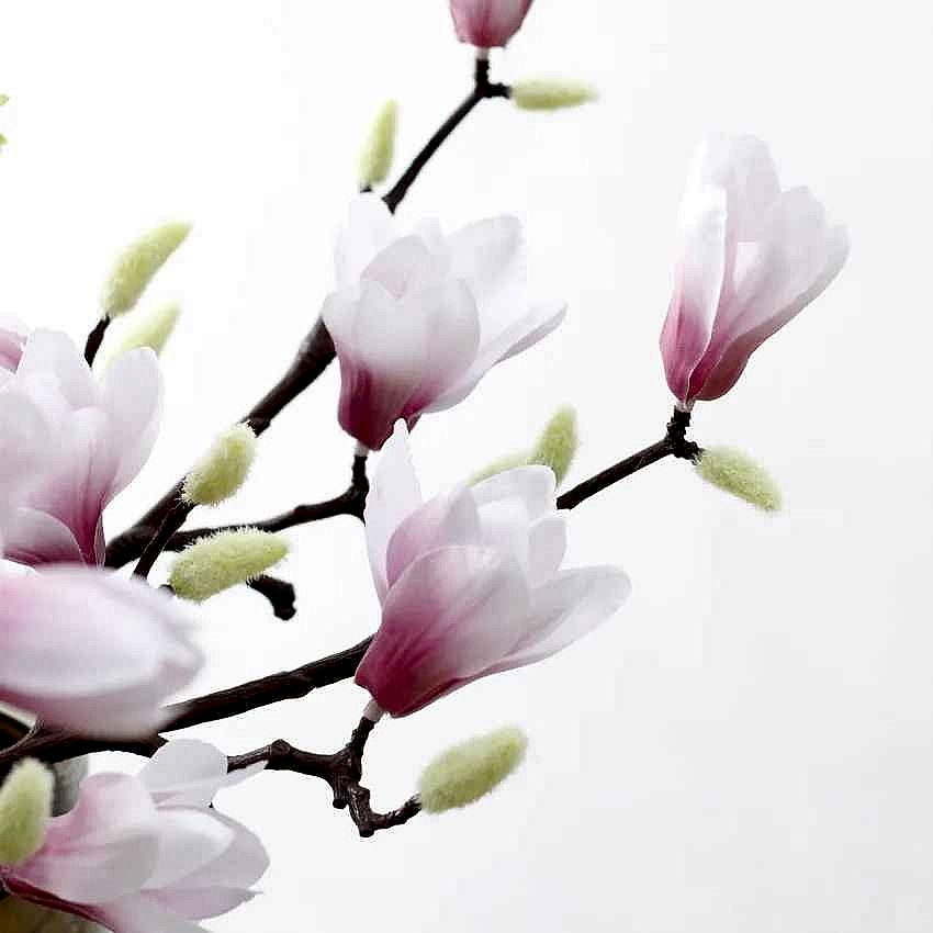 Handcrafted Bring Effortless Elegance to Any Space — Silk Magnolia Branch with 3D-Printed... - View 12 of 18 | BigMoetsy