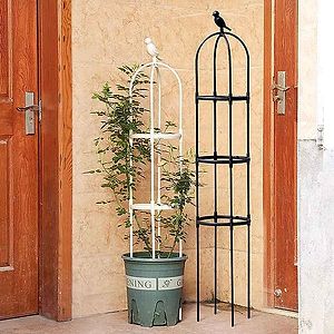 Climbing Plant Trellis Support Frame Set