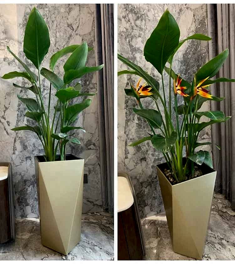 Realistic silk handcrafted Bird of Paradise Artificial Potted Plant with lifelike leaves in home corner decor | BigMoetsy